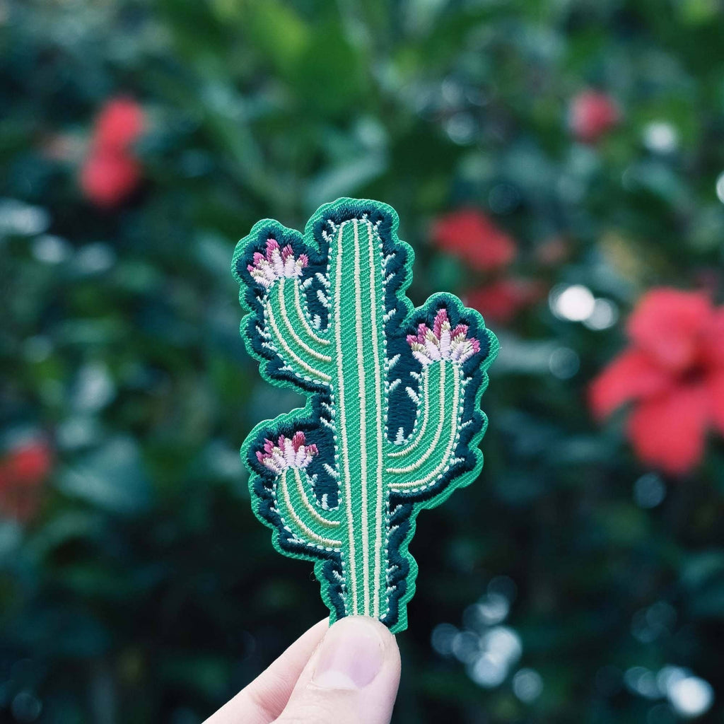 Modern Cactus Patch