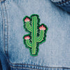 Modern Cactus Patch