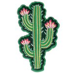 Modern Cactus Patch