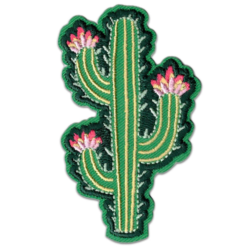 Modern Cactus Patch