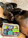 Dog Lover Magnets 