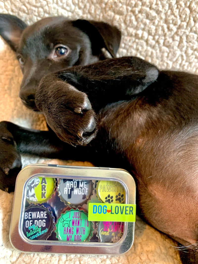 Dog Lover Magnets 