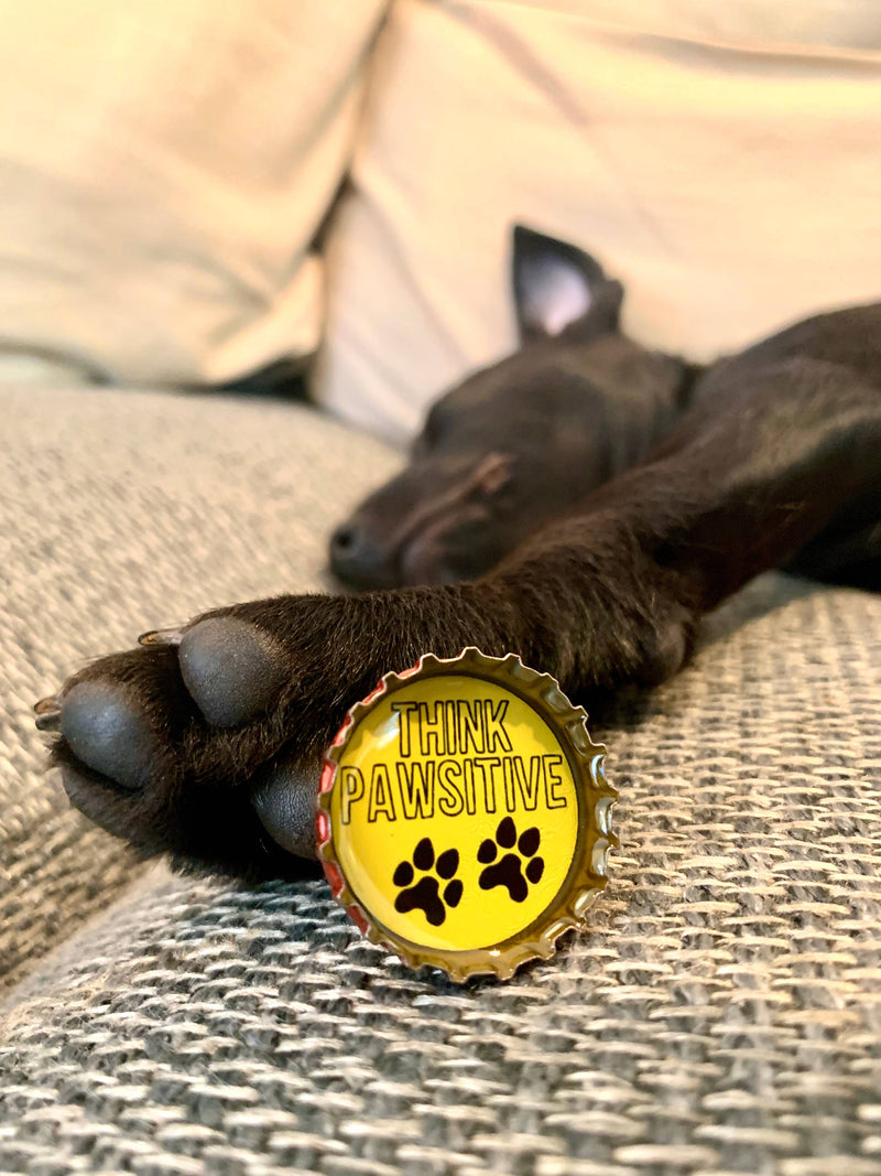 Dog Lover Magnets 