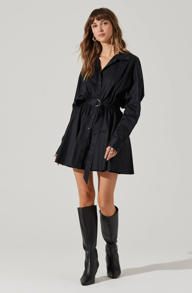 Winica Shirt Dress