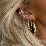 The Essential Hoops