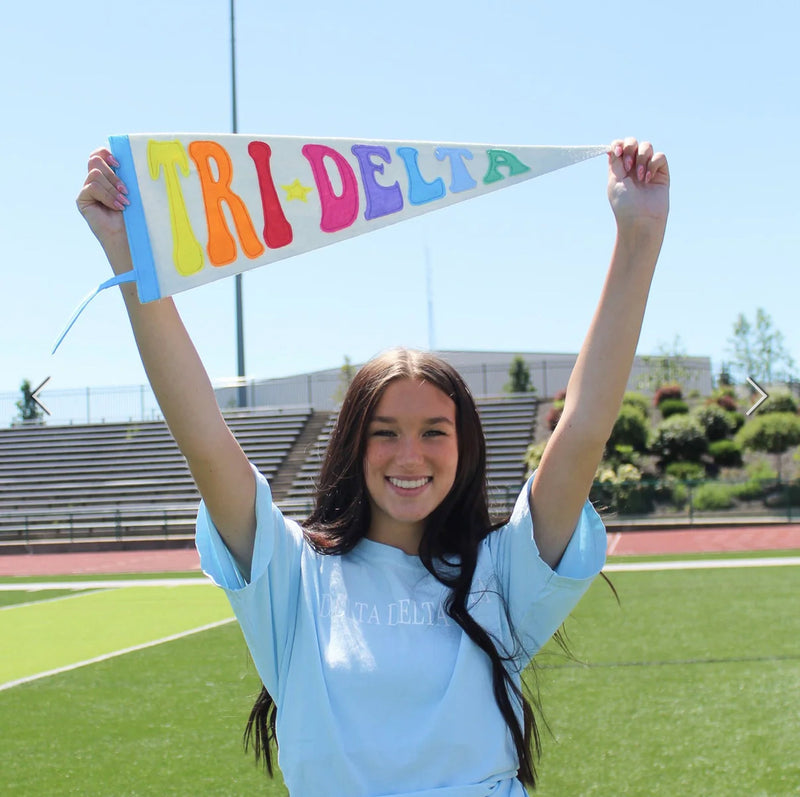 Rainbow Pennant Flag