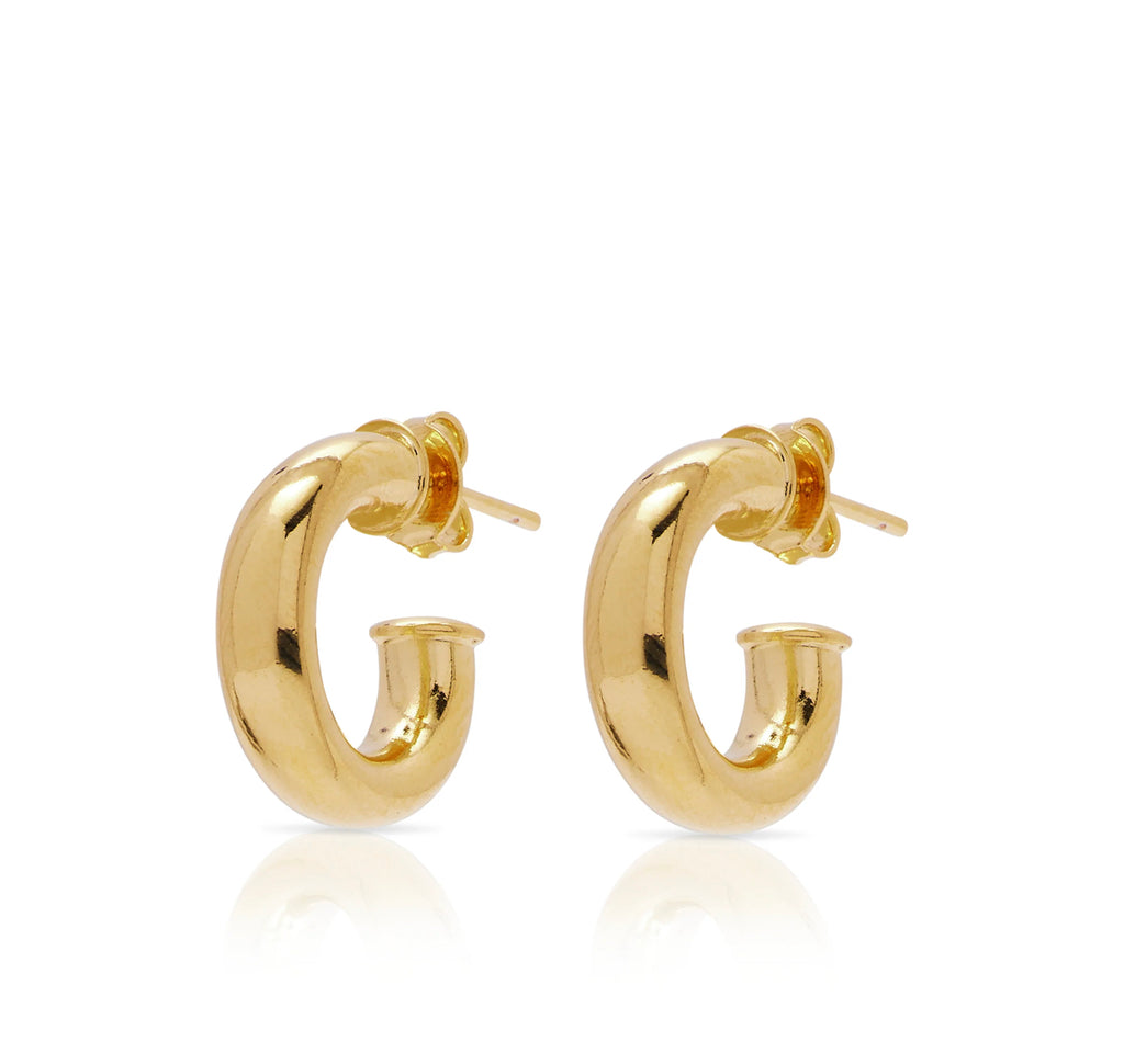 Gold Hoops Variety