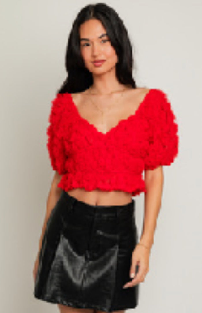 Red Puff Sleeve Top