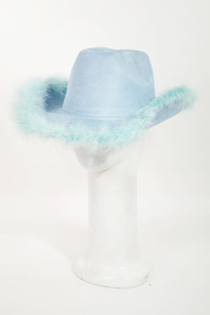 Blue Feather Western Hat