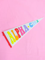 Rainbow Pennant Flag