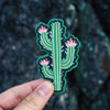 Modern Cactus Patch