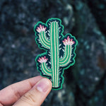 Modern Cactus Patch