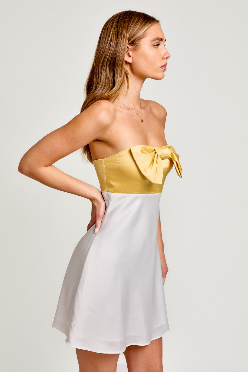 Strapless Bow Detail Mini Dress