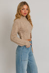 Long Sleeve Mock Neck Cut Out Crop Sweater