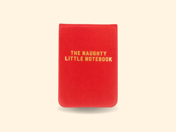 The Naughty Little Notebook Leatherette Pocket Journal