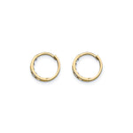 14K Gold Mini Hinged Hoop Earrings