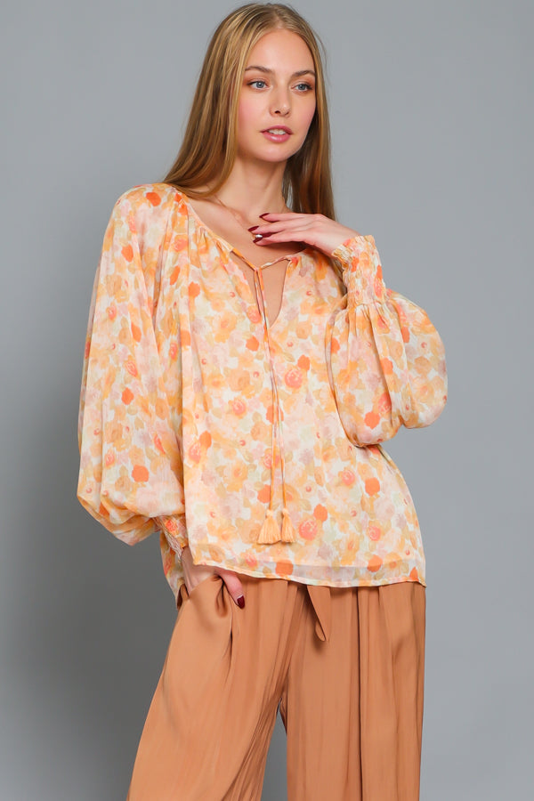 Peach Sheer Long Sleeve Blouse