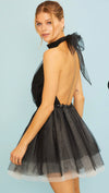 Ruffle Mesh Dress
