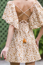 Tan and White shortie Dress