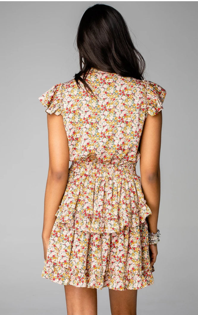 Astrid Ruffle Mini Dress