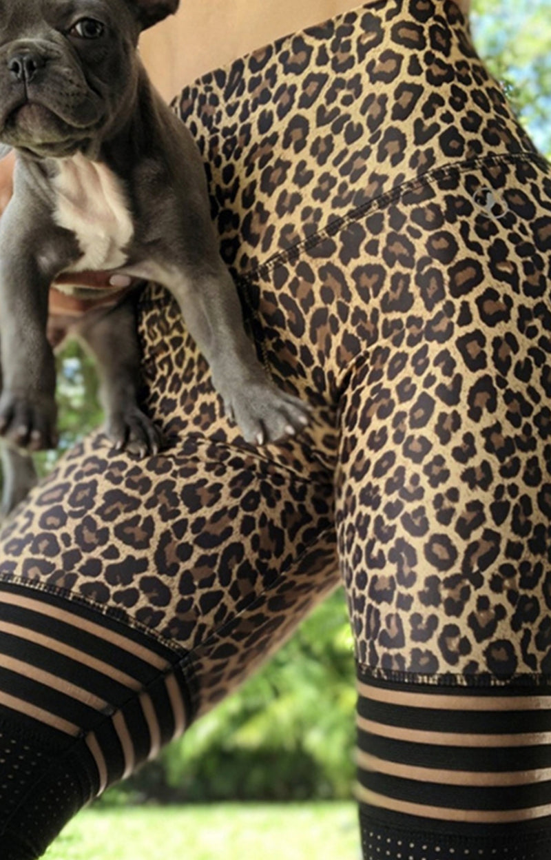 Leopard Print Mesh Leggings