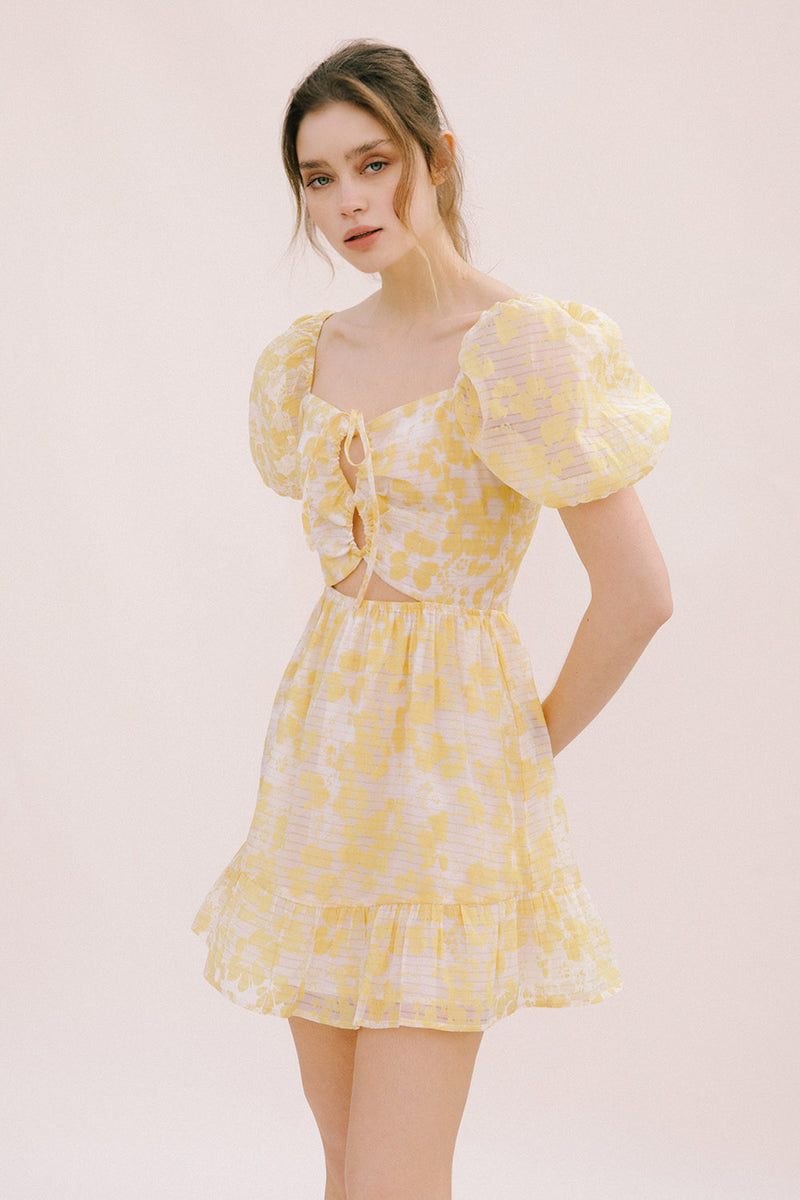 Lemon Dress