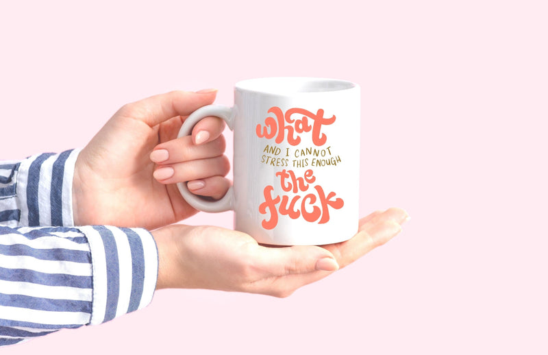 What And I Cannot Stress This Enough The Fuck Funny WTF Coffee Mug Gift