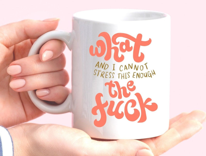 What And I Cannot Stress This Enough The Fuck Funny WTF Coffee Mug Gift